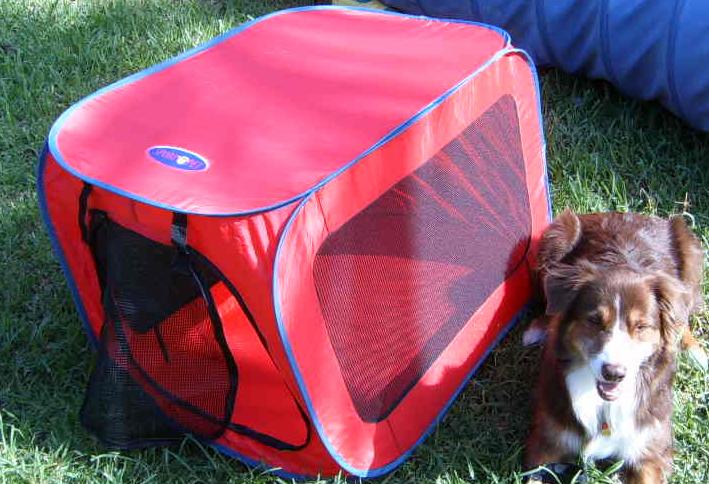 pop open dog kennel